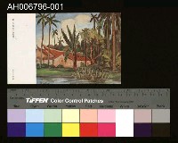 藏品(台灣美術繪畫植物園明信片)的圖片